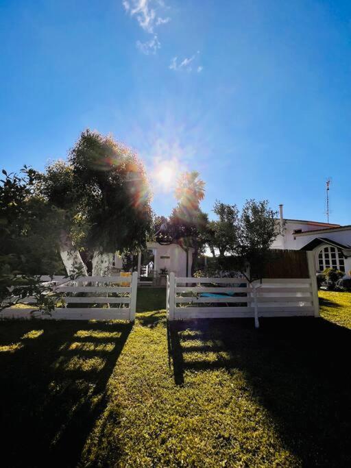 Under The Vine Garden House Apartment Platánion Exterior foto